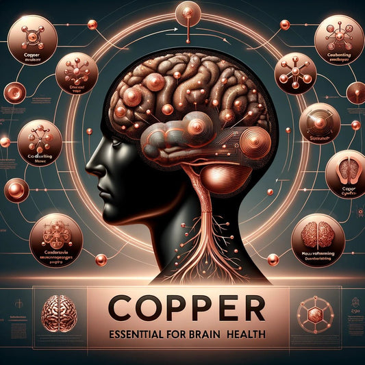 6 Experts Agree Copper is Essential for Healthy Brain Function - NutriNoche