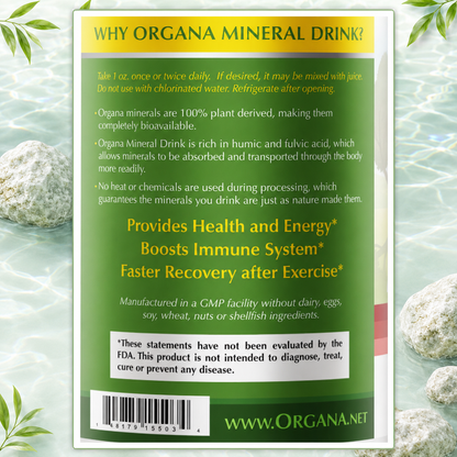The back of an Organa Mineral Drink package, featuring product information, benefits, and a barcode on a green background, framed by a light water-texture border with rocks and leaves.